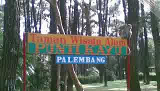 Taman Hutan Wisata Punti Kayu