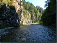 DSCN4913