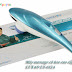 Máy massage cầm tay cá heo cao cấp LY-612A, giảm đau nhức hiệu quả và giá tốt