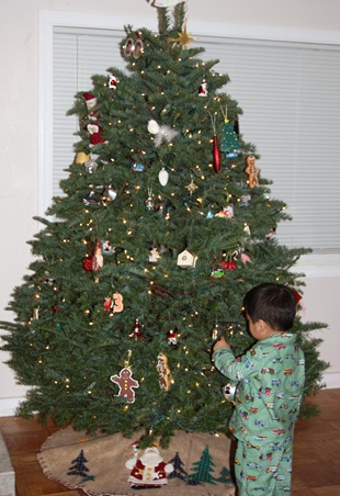 2010-12-01_081