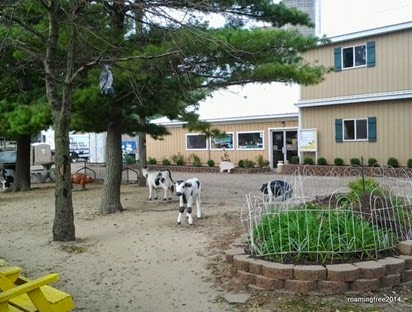 The ice cream shop