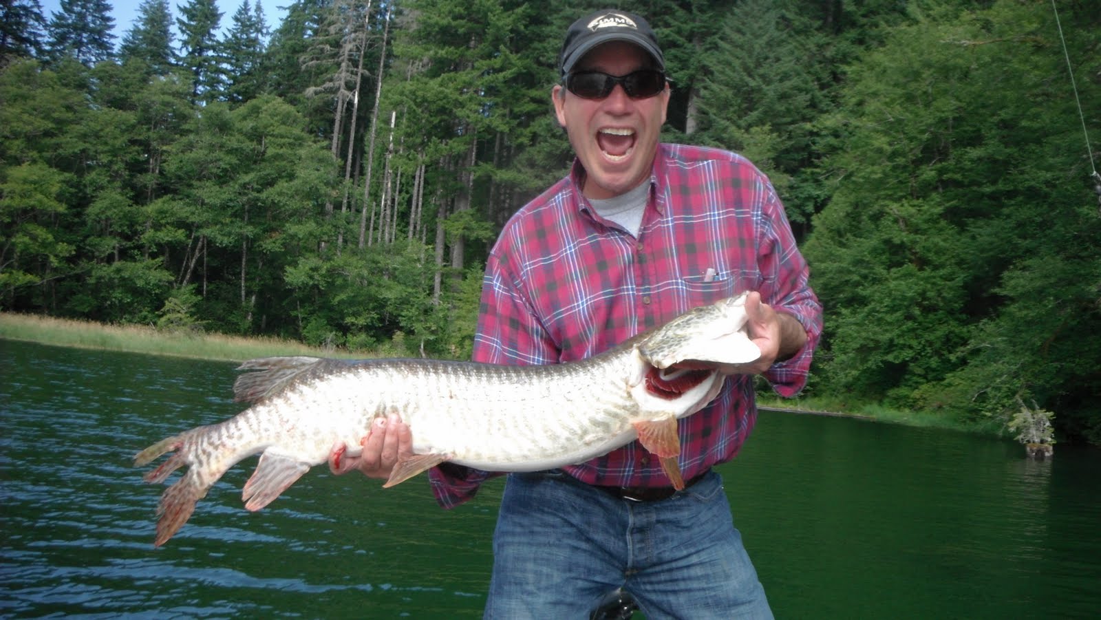 Forever Fishing Washington State: Tiger Muskie Fishing in