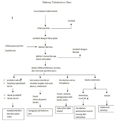 Pathway Tuberculosis Paru