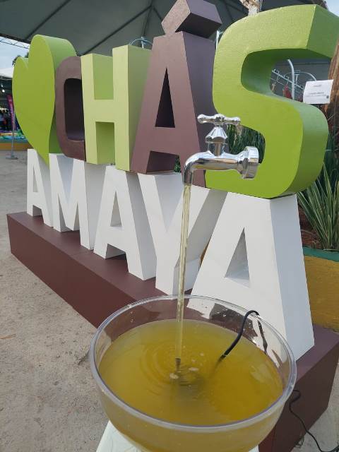 Amaya lança novos sabores e apresenta produtos curiosos feitos com chá durante a feibanana 2022
