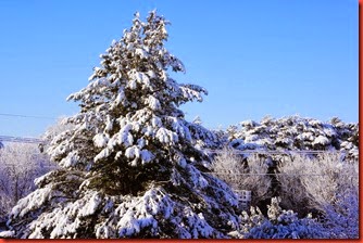DSC00916