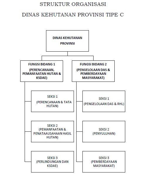 Struktur Organisasi Dinas Kehutanan Gakum Lhk