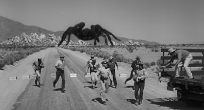 Tarantula on the Highway