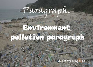 Environment pollution paragraph