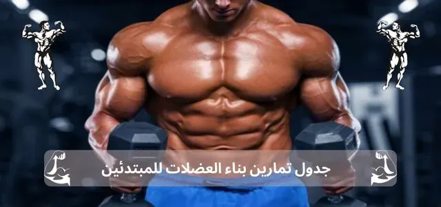 افضل جدول تمارين بناء العضلات للمبتدئين كمال اجسام