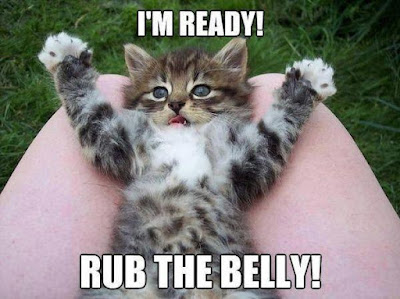 I'm ready rub the belly