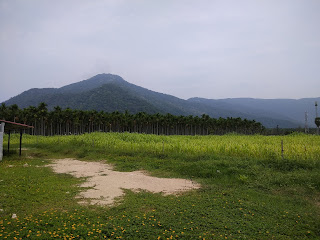 Vellingiri Hills 