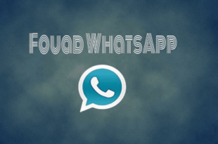 تحميل تحديث اف ام واتساب fmwhatsapp