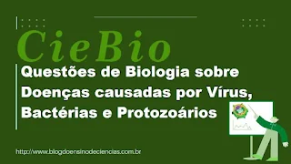 Questões de Biologia sobre Doenças causadas por Vírus, Bactérias e Protozoários