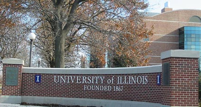 Moodle UIUC: Simple Tricks to Use University of Illinois LMS 2023