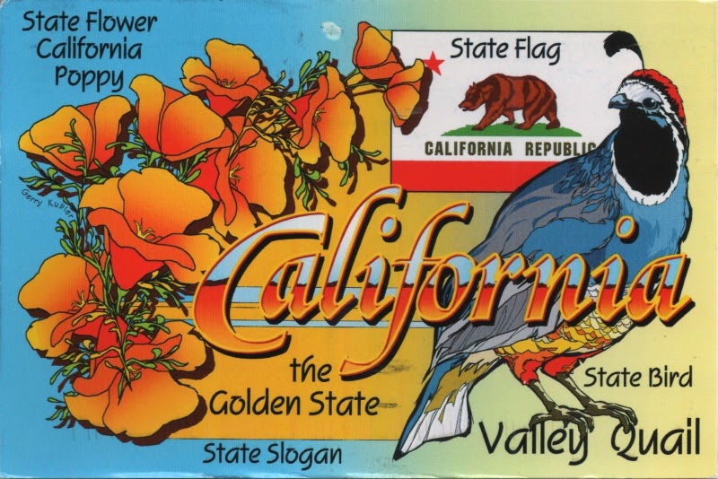 Modern map of California showing bird, flag and flower
