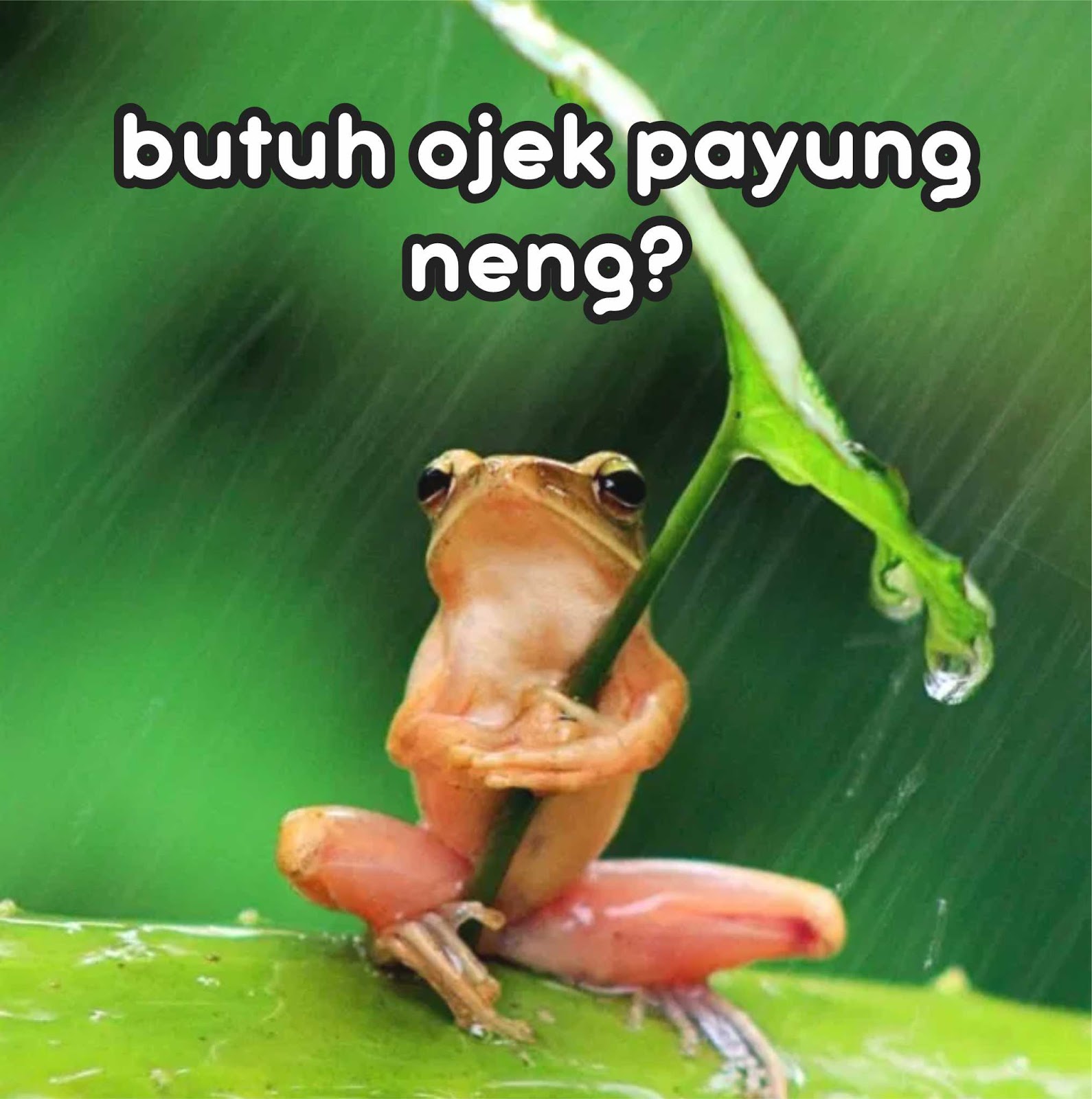 25 Meme Hujan Lucu Terbaru Paling Gokil Dan Kocak Gambar Lucu