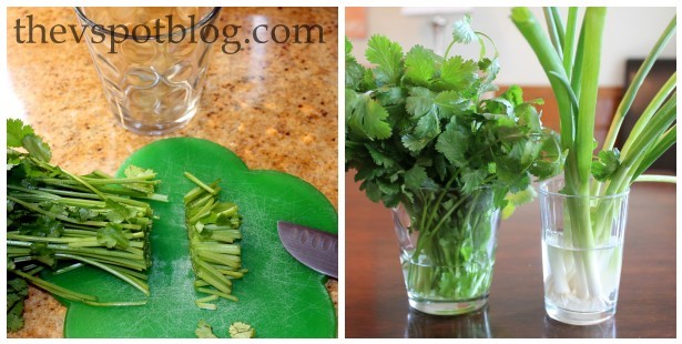 Keep Herbs Fresh Longer Plus A Guest Post On Craft Gossip The V