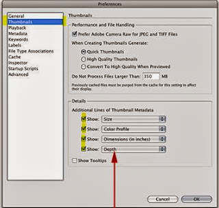 Tampilan Preference Adobe Bridge CS3
