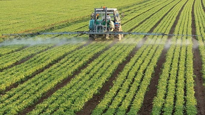 Agricoltori: devastazione e tutela dell'ambiente