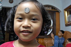 DSC_0519new