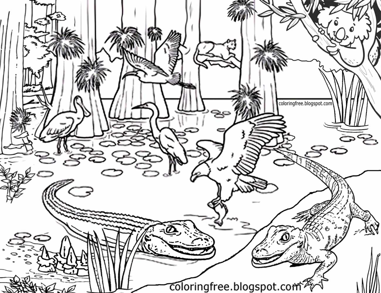 Australia s magical rainforest plex picture Australian coloring pages for teenagers difficult art