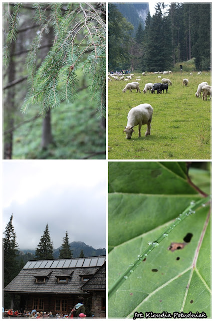 http://kluskowopl.blogspot.co.uk/2013/09/tatry-wakacje-2013.html