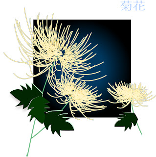 優美な菊の背景 EXQUISITE CHRYSANTHEMUM VECTOR