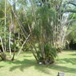 View album