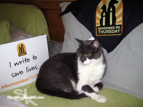 Remember Me Thursday—Cat Lives Matter