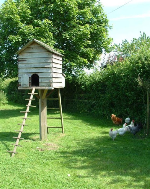 Simple Birdhouse Design