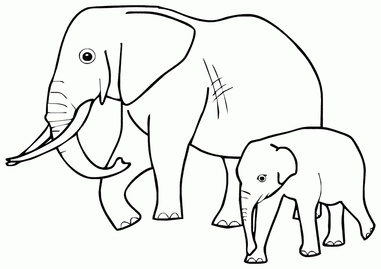 Mari Mewarnai Gambar Induk Anak Gajah