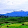 Gambar Pemandangan Pegunungan Asli - Ini Aslinya Pemandangan Menakjubkan Yang Paling Sering Digambar Anak Sekolah Autoblarr : Pemandangan, pegunungan, dataran tinggi, gunung, alam, lembah, pohon, bukit, kabut, kayu.