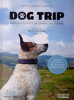 Dog trip, pateando el norte de España con tu perro