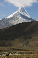 IMG_5254