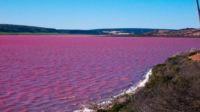   Mengenal Hutt Lagoon, Danau Unik di Australia 