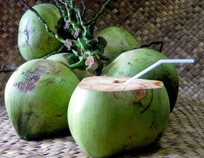 kelapa hijau 