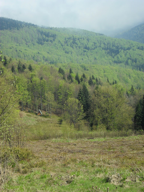 Mgły nad Ponikwią jednak nie dają za wygraną