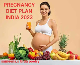 PREGNANCY DIET PLAN INDIA 2023