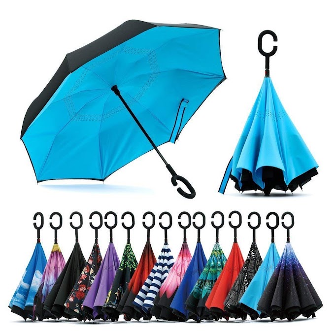 Top 5 Trendy Umbrella at Great Price!