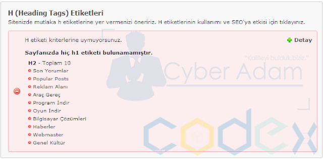 Heading Tags Etiketleri