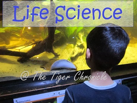 http://thetigerchronicle.blogspot.co.uk/search/label/science-life