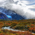 Mountain in Colourful Flower Filed Wallpaper