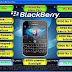 Blackberry Hardware Repair Solution 2012