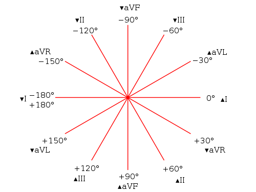 ECG of the Week: ECG Reference Notes