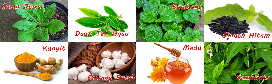 8 Cara Alternatif Mengobati Herpes Atau Dompo