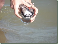 FlatRats Pacific5