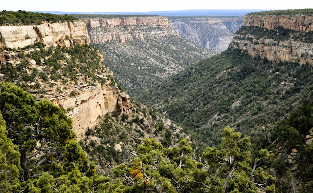 Colorado landscapes