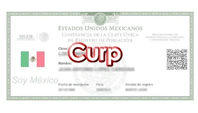 Nuevo Formato de Curp Actualizado