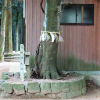 人文研究見聞録：曽枳能夜神社 ［島根県］