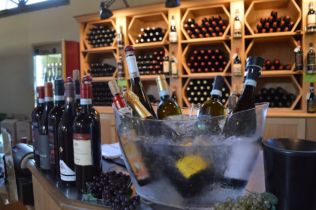 degustazione colli euganei cantine aperte